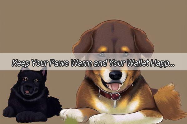 Keep Your Paws Warm and Your Wallet Happy BudgetFriendly Ways to Heat Up Your Dogs Winter